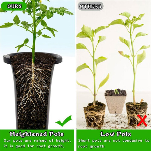 20Pcs Plastic Deep Plant Nursery Pots, Thick Stable Tall Tree Pots, Reusable Tall Seedling Plant Container Pots, Deep 1