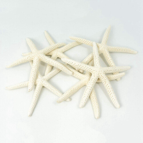 24PCS White Finger Starfish 5-10cm Decorative Five-Finger Starfish 1