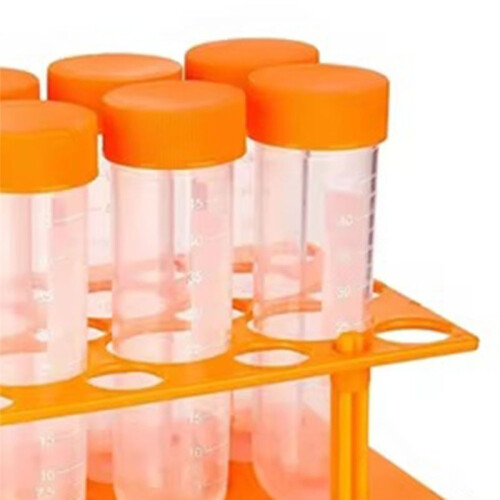 Kids Plastic Test Tubes Droppers Learning Education Primary Science Test Tubes and Holes Holder Rack 1