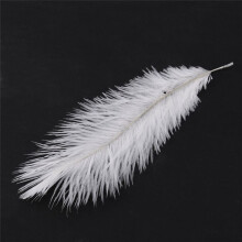 60 Pieces White Natural Ostrich Feather 20-25cm Wedding DIY