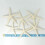24PCS White Finger Starfish 5-10cm Decorative Five-Finger Starfish 5