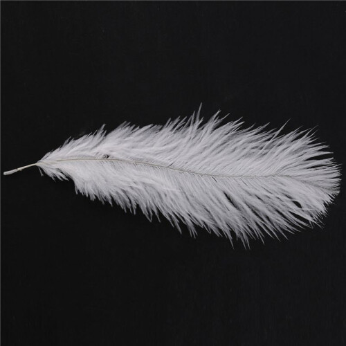 100 Pieces White Natural Ostrich Feather 20-25cm Wedding DIY 2