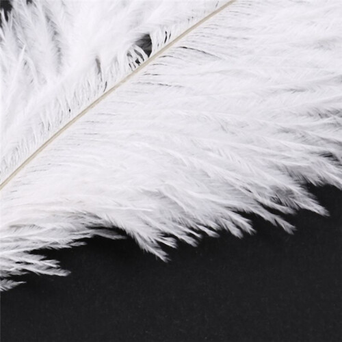 40 Pieces White Natural Ostrich Feather 20-25cm Wedding DIY
