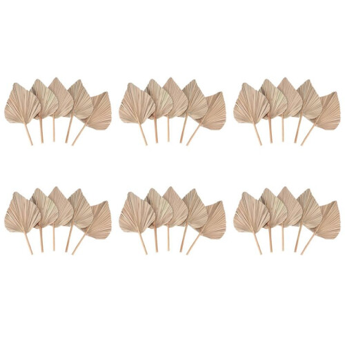 Folhas de Palmeira Secas para DecoraçãO de Quarto 30 PeçAs - 18 Polegadas H X 10 Polegadas W  DecoraçãO Natural em Folha de Palmeira para um