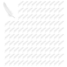 1000pcs White Feathers for Party Hat Crafts Wedding Decoration 15-22cm