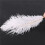100 Pieces White Natural Ostrich Feather 20-25cm Wedding DIY 7