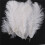 100 Pieces White Natural Ostrich Feather 20-25cm Wedding DIY 2