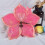 Flower Silicone Mold Clock Dial Trays Make Cake Dessert-B 6