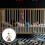 Babykleiner Anhänger Feng Shui 11