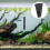 9 Thermometerstickers 10-40 Aquarium En Schildpads 6