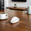 Conjunto De Colher De Porcelana Para , Café E Folhas 4