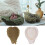 Crystal Epoxy Mold Feather Dish Storage Mold Fruit Storage Plate 4