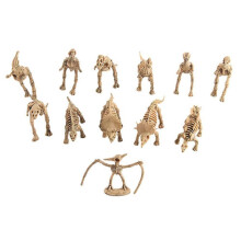12 Mini-Dinosaurier-Modelle, Dekoration, Jurassic-Dinosaurier-Modelle, lebensechte Dinosaurier-Modelle, Ornamente, simulierte Dinosaurier-Sk