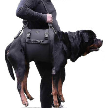 Hundetragegurt für große Hunde, Notfall-Hebegeschirr mit Beinstütze für die Rehabilitation – das perfekte Geschenk für Tierbesitzer (Gg)