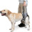 Soft dog lifting harness for back leg support, aid for injured disabled pets 1