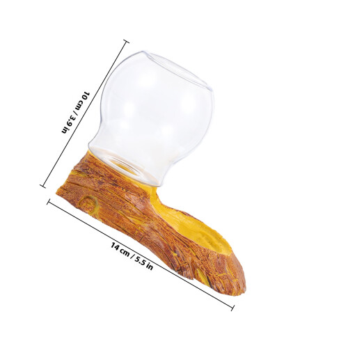 Set Bevitore Per Rettili E Lucertole, Contenitore Acqua 1