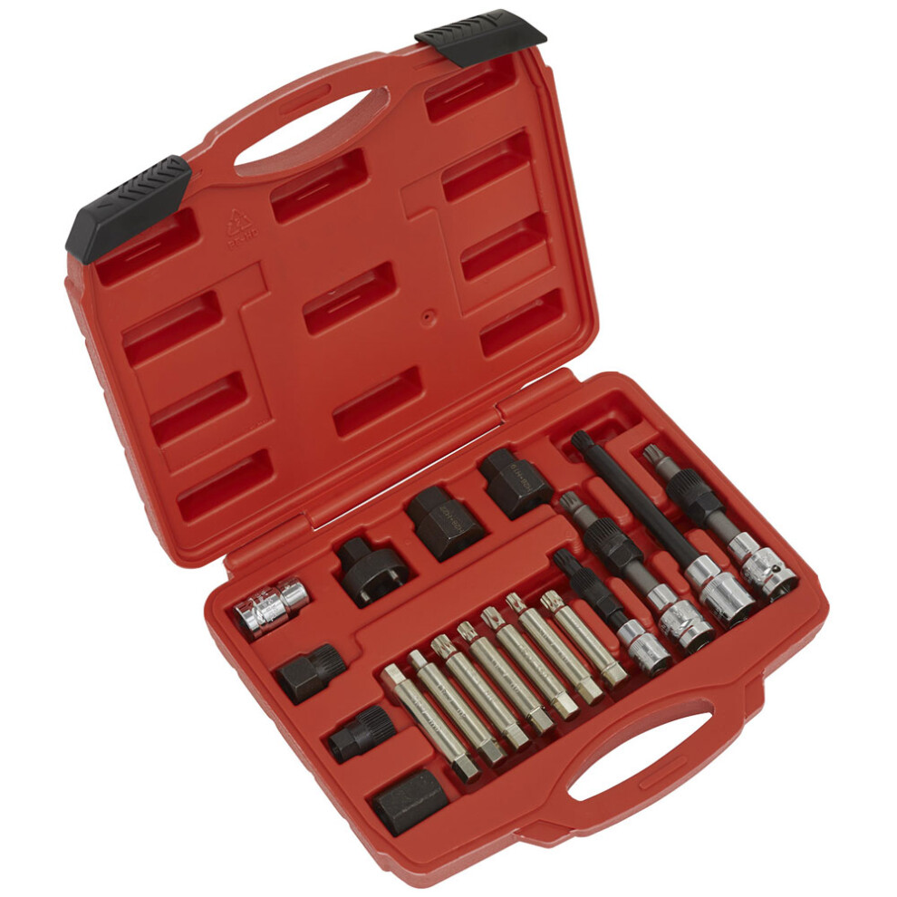 Alternator Freewheel Pulley Removal Set 18Pc 5051747438149