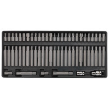 Tool Tray with Security TRX-Star*/Hex/Ribe/Spline Bit Set 60pc