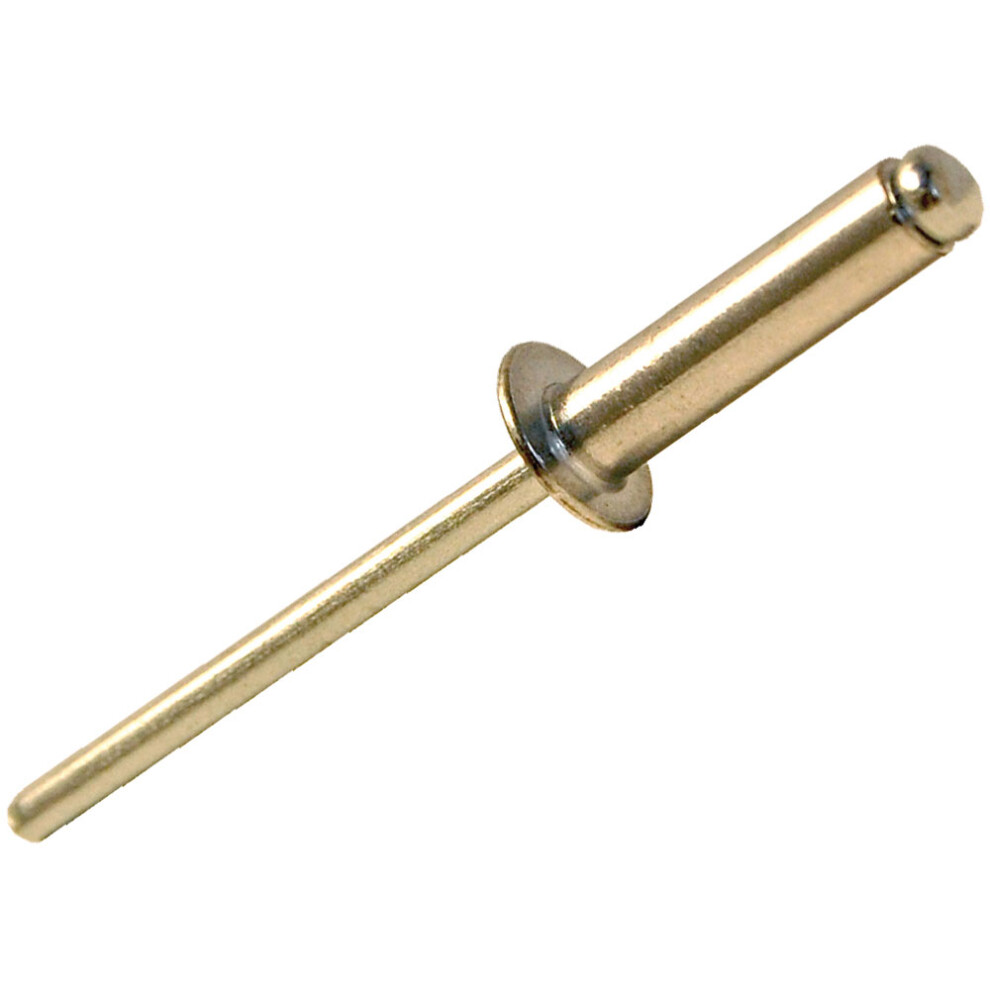 Forge 100RIV328 Aluminium Rivets 3.2 x 8mm Bag of 100