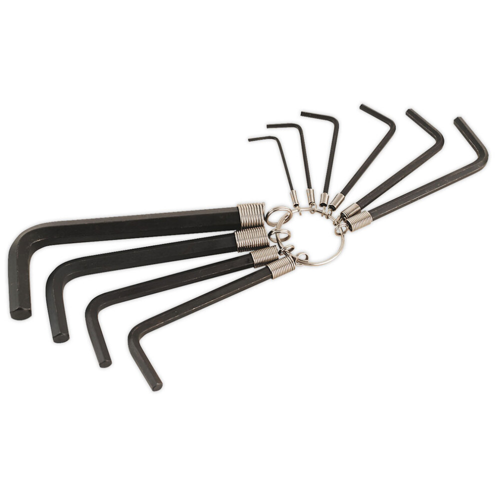 Hex Key Set On Ring 10Pc Metric 5024209600866