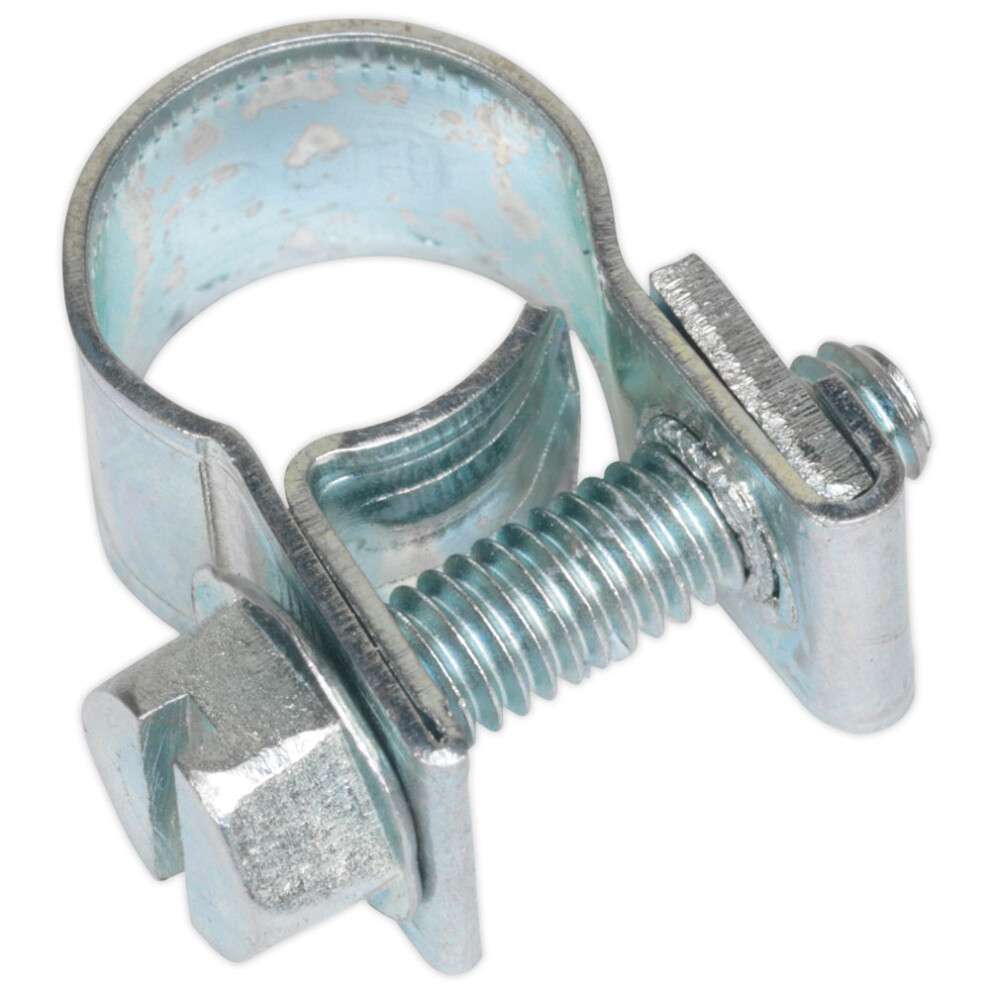 Mini Hose Clip Ø8-10mm Pack of 30