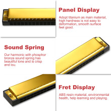 C Key 24-Hole Diatonic Harmonica with Case Ideal for Blues Jazz Folk