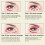 Dual Ball Eye Massager Wand with USB Charging & Heating Function 15