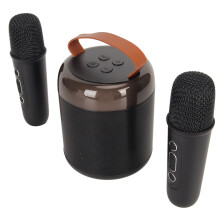 Wireless Karaoke Speaker 6W RGB Light Bluetooth 5.3 Portable Black