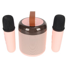 Kabelloser RGB-Licht Bluetooth Karaoke-Lautsprecher mit 2 Mikrofonen, Pink