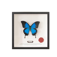 Collage Picture Frames Black Tabletop Photo Frame MDF 3 Cm Border 9x9 Inch Square Opening College Decor