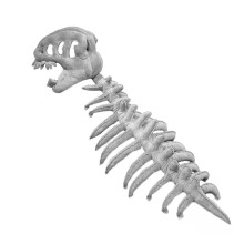 Dino-Kapuzenhut für Erwachsene und-Graue Erwachsenenversion