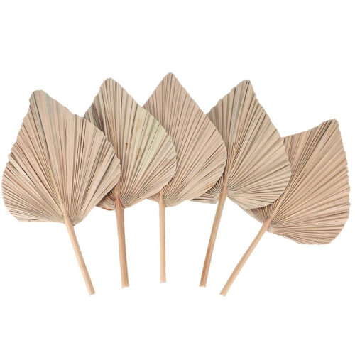 Folhas de Palmeira Secas para DecoraçãO de Quarto 5 PeçAs - 18 Polegadas H X 10 Polegadas W  DecoraçãO Natural em Folha de Palmeira para um