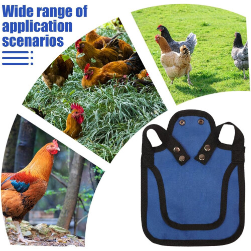 Hen Saddle for Chickens Poultry Saver Jacket Poultry Vest Adjustable Straps Blue Chicken Protector 2
