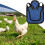 Hen Saddle for Chickens Poultry Saver Jacket Poultry Vest Adjustable Straps Blue Chicken Protector 2