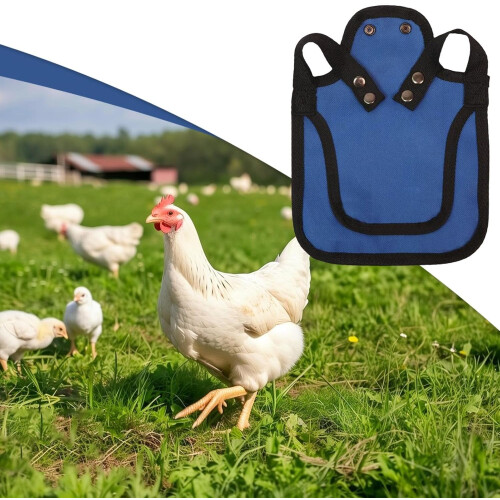 Hen Saddle for Chickens Poultry Saver Jacket Poultry Vest Adjustable Straps Blue Chicken Protector 1