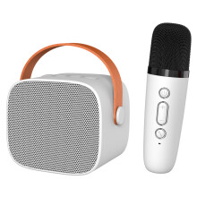 Mini tragbare Karaoke-Maschine 10W HiFi Bluetooth-Lautsprecher mit Mikrofon, Weiß