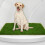 Vassoio periletto riutilizzabile impermeabile per cani con erba artificiale, 46x71cm 5