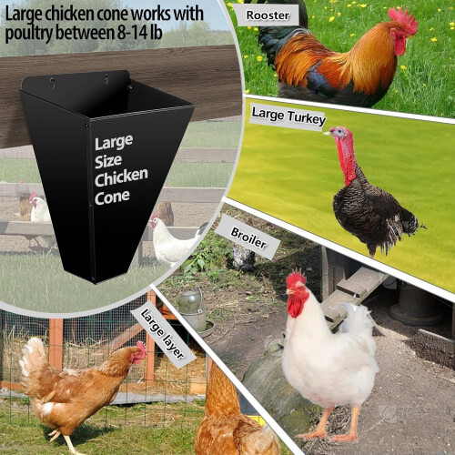 Chicken Cone Stainless Steel Restraining Cone Flat Back For Large Birds Heavy Duty 1