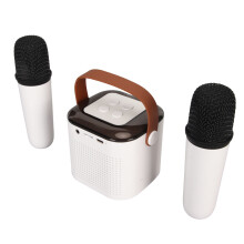 Mini Portable Karaoke Machine Stereo Bluetooth Speaker 8x8x8.5cm With RGB & 2 Microphones