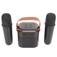 Stereo Portable Karaoke System with RGB Light Bluetooth 2 Wireless Mics Black