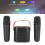 Mini Macchina Karaoke Portatile Stereo Bluetooth Con Luci RGB e Microfoni, Nera 4
