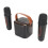 Mini Macchina Karaoke Portatile Stereo Bluetooth Con Luci RGB e Microfoni, Nera 7