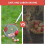 Nut Picker with Adjustable Telescopic Handle for Easy Walnut and Apple Harvesting Without Bending 5