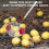 Nut Picker with Adjustable Telescopic Handle for Easy Walnut and Apple Harvesting Without Bending 4