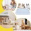 Cat Litter Step Non Slip Double Layer Trapper Easy Clean For Indoor Accessibility Kittens Blue 3