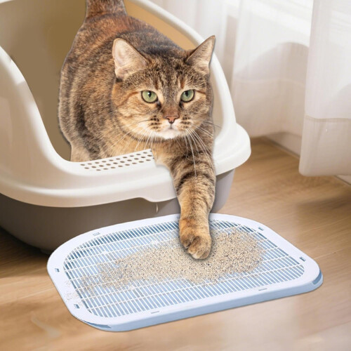 Cat Litter Step Non Slip Double Layer Trapper Easy Clean For Indoor Accessibility Kittens Blue 1