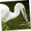 Angle Fish Protectors 20Pack Raised Mesh Birdproof Pool Nets For Home And  Use 2
