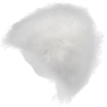 Untrimmed Grooming Training Hair For Model Dogs With-hair white