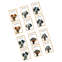 Humorous Greeting Card For Adults Unique Cheeky Designs Ideal