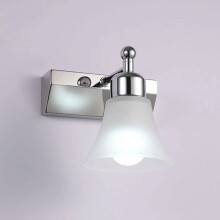 Bathroom Lights over Mirror Vanity Light Frosted Glass Shade Rotatable Modern Silver Wall Sconce 1 Light